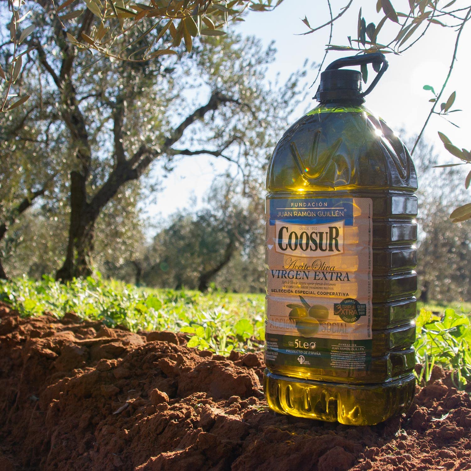COOSUR Aceite de Oliva Virgen Extra Selección Cooperativa, 5L - Imagen 5